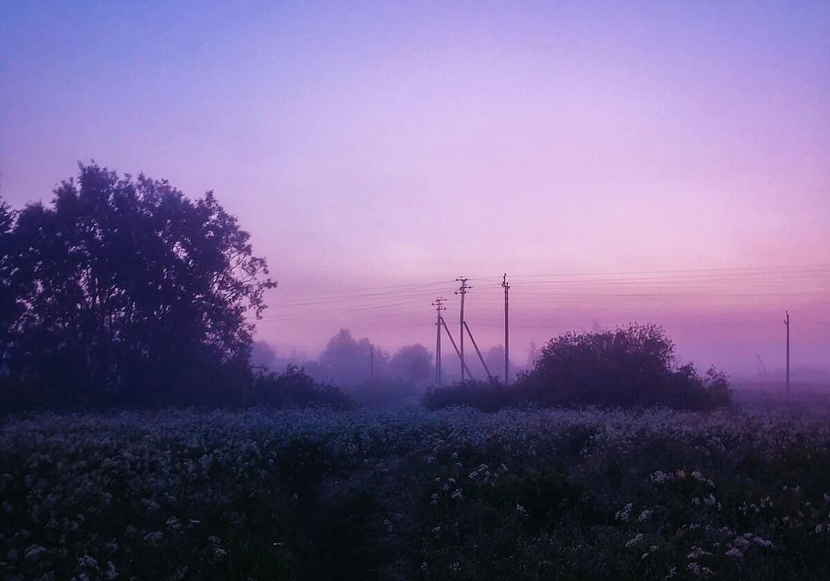 支持C罗，利雅得胜利球迷今晚将在看台展示C罗的号码牌